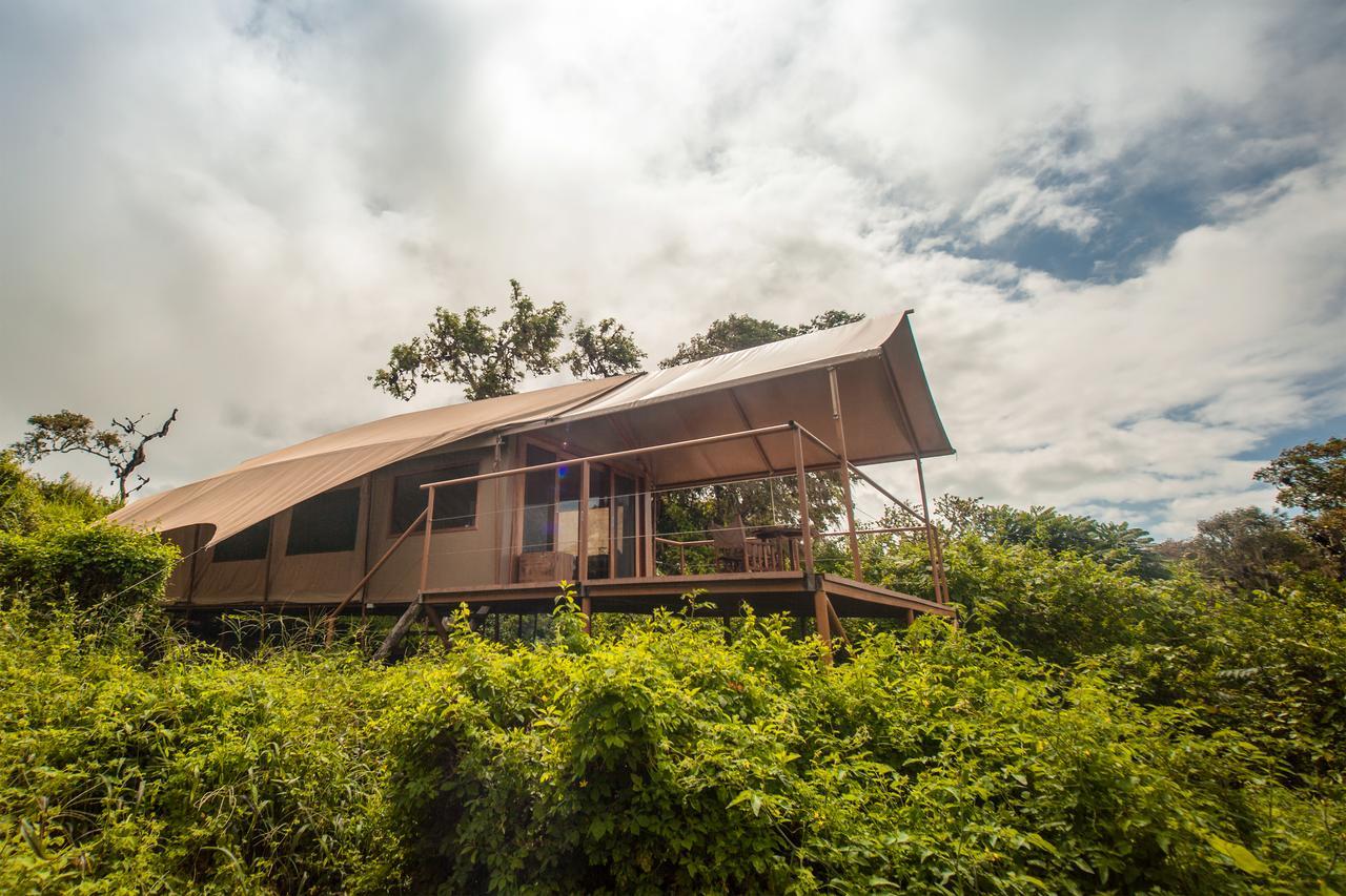 הוילה GALAPAGOS ISLANDS Galapagos Safari Camp מראה חיצוני תמונה